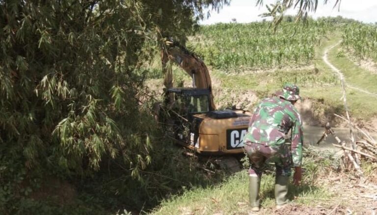 WhatsApp Image 2021-03-20 at 09.52.29