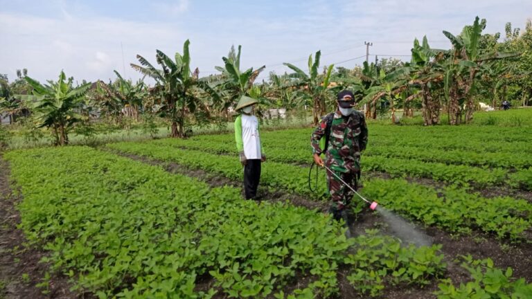 WhatsApp Image 2021-03-20 at 09.54.00