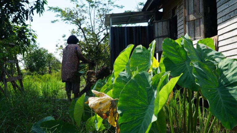 WhatsApp Image 2021-03-20 at 11.02.21