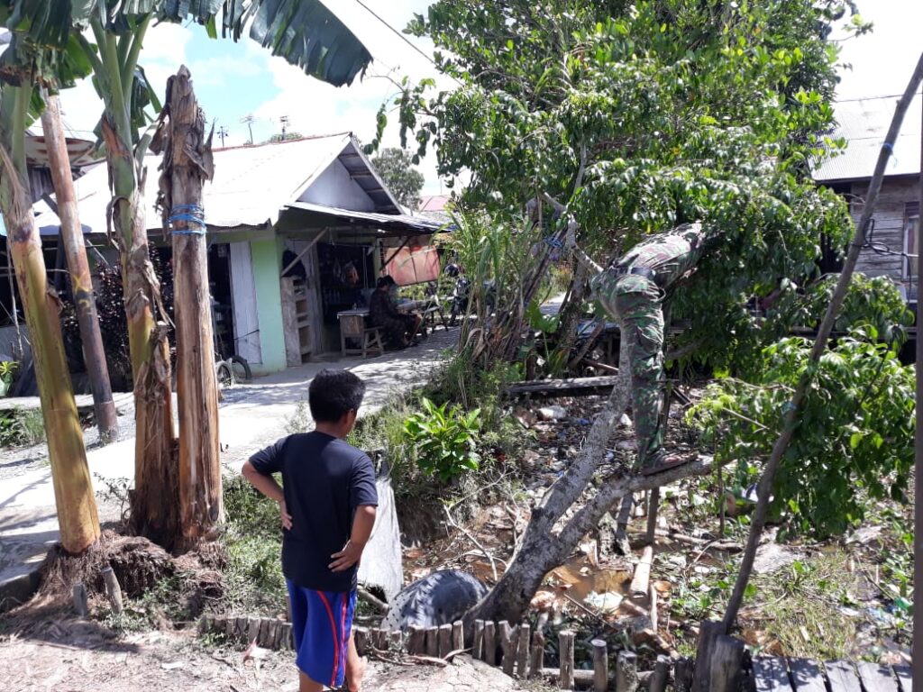 WhatsApp Image 2021-03-20 at 11.03.45