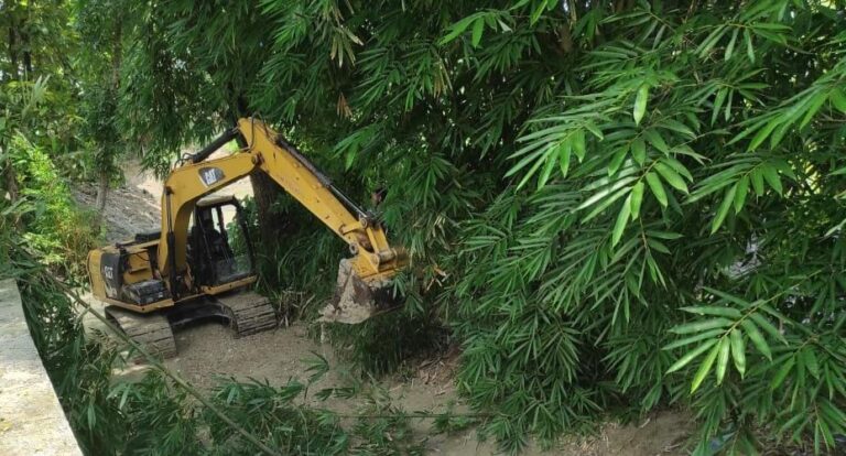 WhatsApp Image 2021-03-21 at 07.52.36