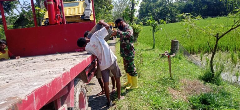 WhatsApp Image 2021-03-21 at 07.58.18