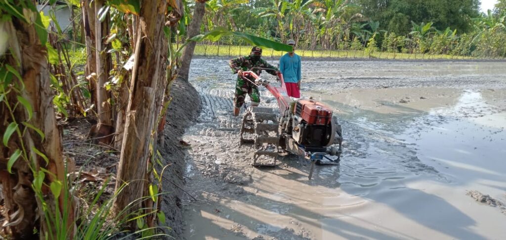 WhatsApp Image 2021-03-21 at 08.46.32