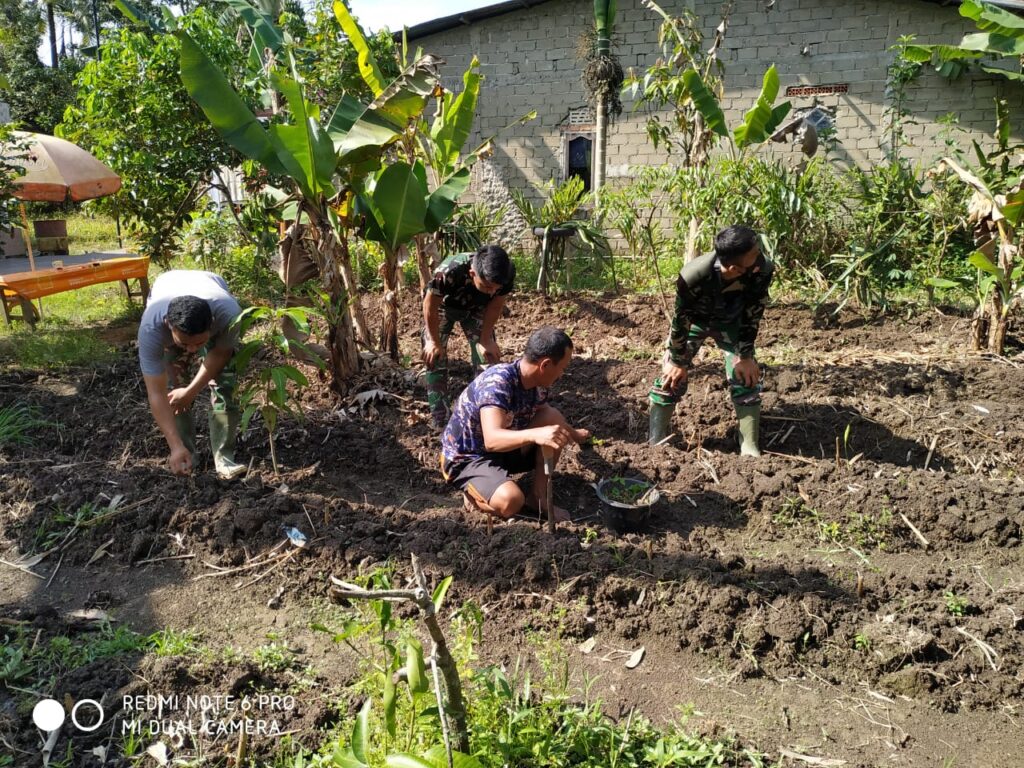 WhatsApp Image 2021-03-21 at 08.54.17