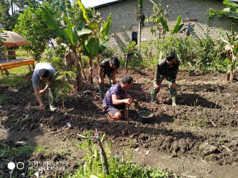 WhatsApp Image 2021-03-21 at 08.54.17