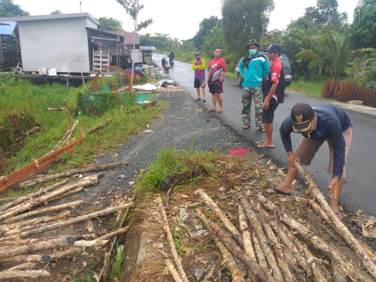 WhatsApp Image 2021-03-21 at 14.49.47