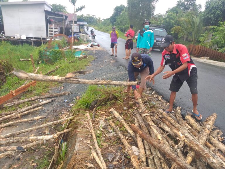 WhatsApp Image 2021-03-21 at 14.49.49