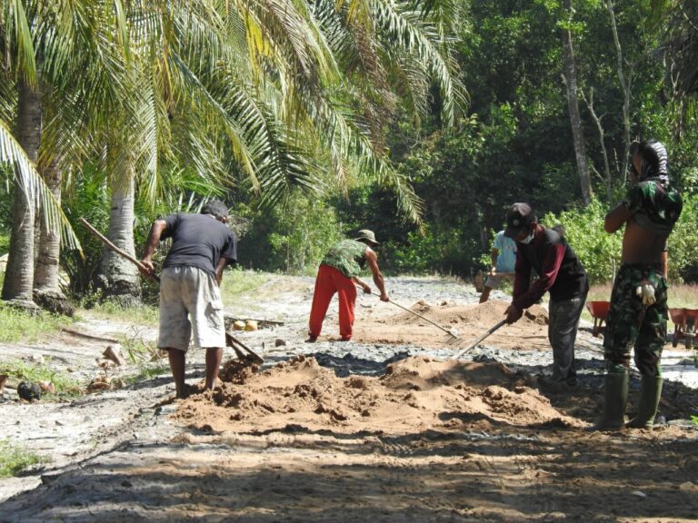 WhatsApp Image 2021-03-21 at 20.22.32