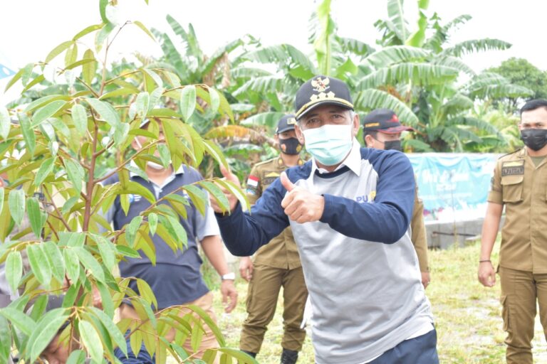 WhatsApp Image 2021-03-22 at 03.03.42