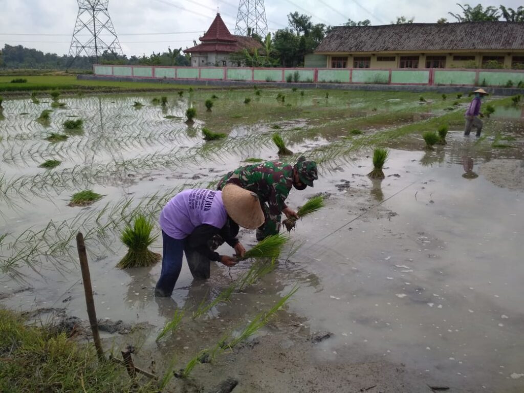 WhatsApp Image 2021-03-22 at 08.23.53