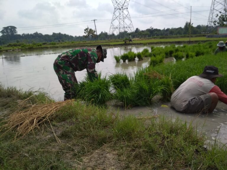 WhatsApp Image 2021-03-22 at 08.24.16