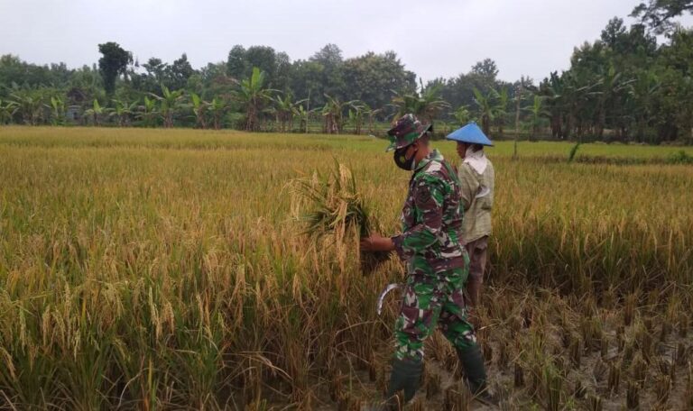 WhatsApp Image 2021-03-22 at 08.27.54