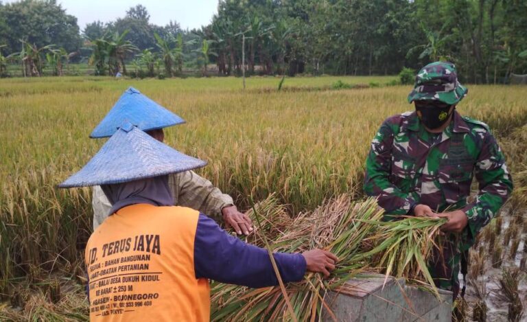 WhatsApp Image 2021-03-22 at 08.32.03