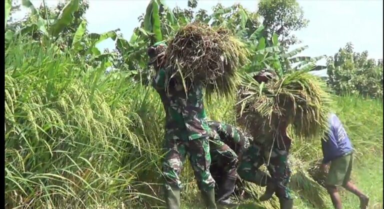 WhatsApp Image 2021-03-22 at 08.40.52