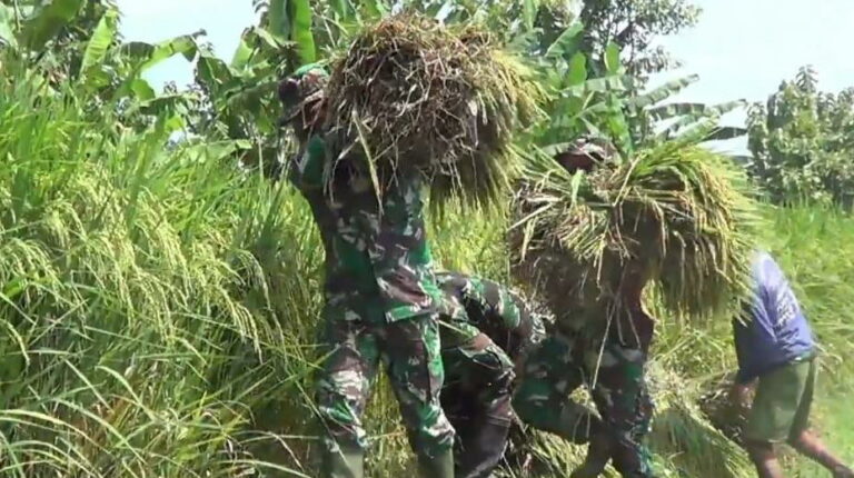 WhatsApp Image 2021-03-22 at 08.46.11