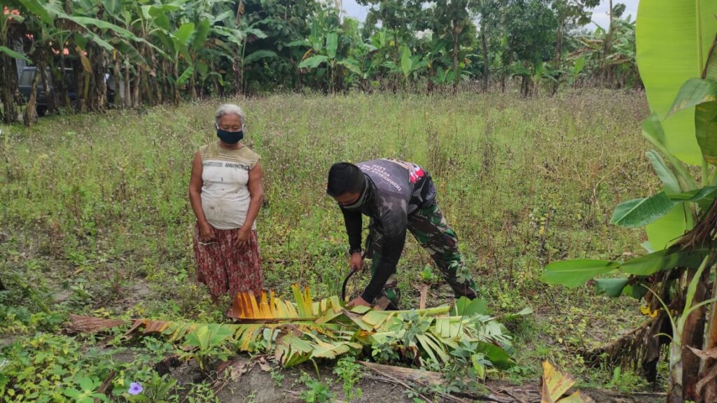 WhatsApp Image 2021-03-22 at 09.03.53