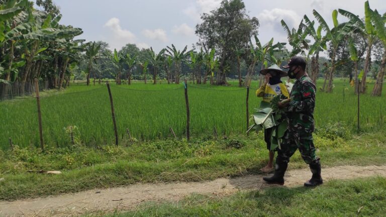 WhatsApp Image 2021-03-22 at 09.08.08