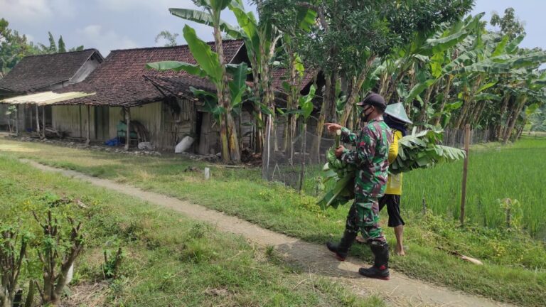 WhatsApp Image 2021-03-22 at 09.09.01