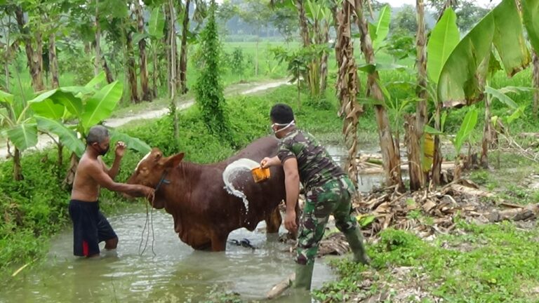 WhatsApp Image 2021-03-23 at 08.55.12