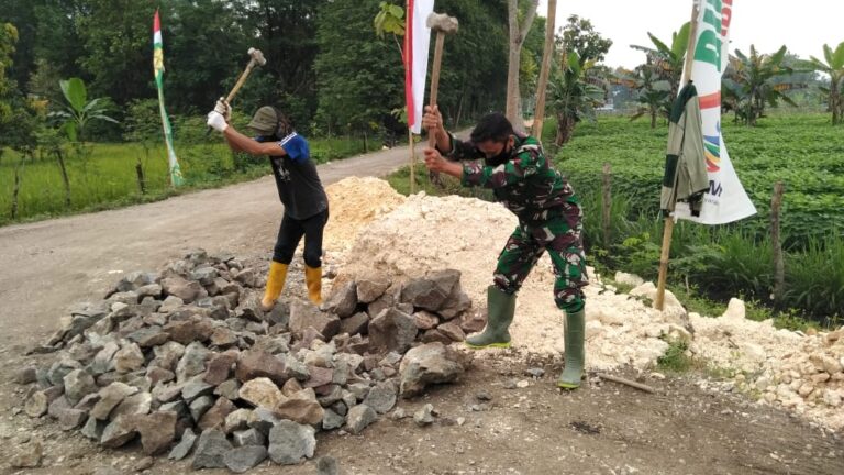 WhatsApp Image 2021-03-23 at 08.58.50