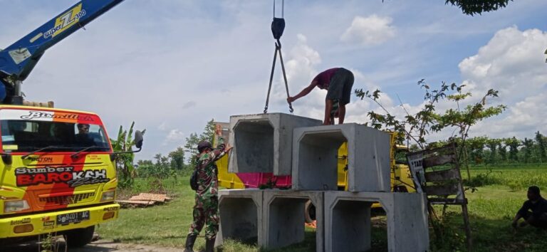 WhatsApp Image 2021-03-23 at 09.00.34