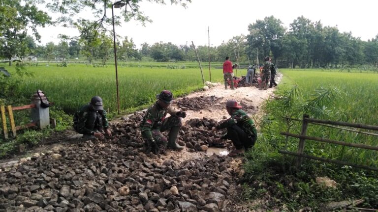 WhatsApp Image 2021-03-23 at 09.07.57