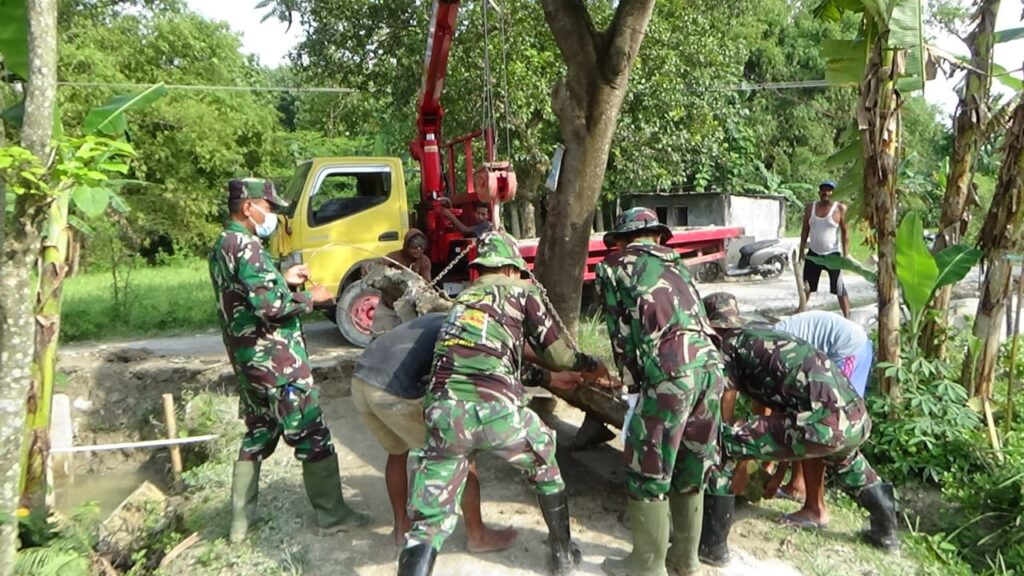 WhatsApp Image 2021-03-23 at 09.15.36