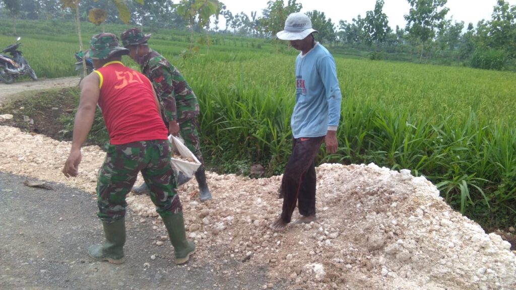 WhatsApp Image 2021-03-23 at 09.26.02