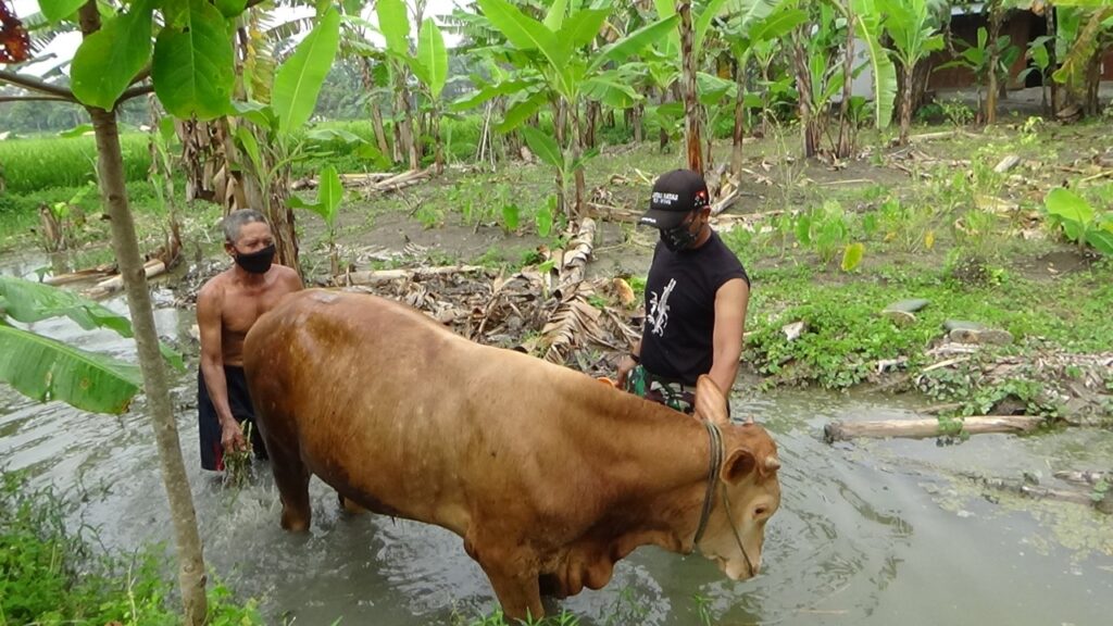 WhatsApp Image 2021-03-23 at 09.29.17