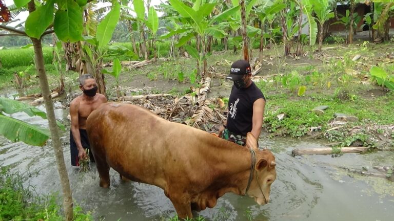 WhatsApp Image 2021-03-23 at 09.29.17