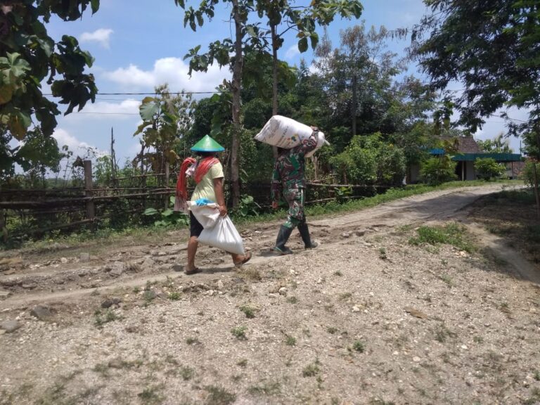 WhatsApp Image 2021-03-23 at 09.36.32