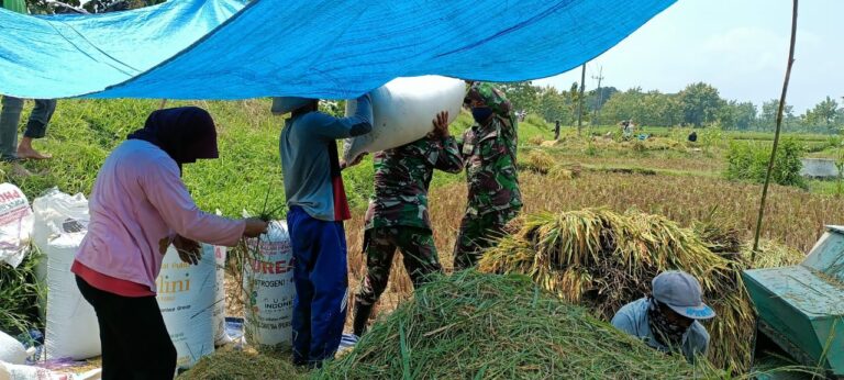 WhatsApp Image 2021-03-23 at 09.39.19