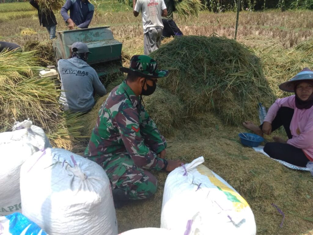 WhatsApp Image 2021-03-23 at 09.40.17