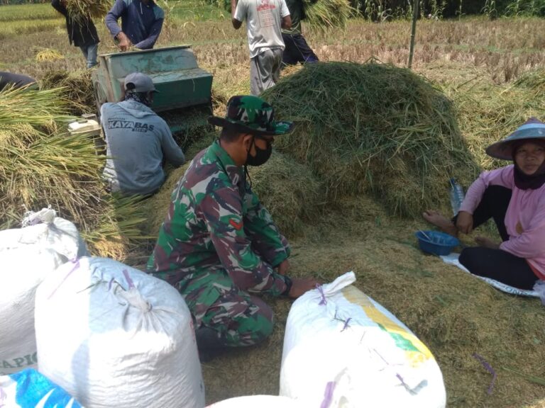 WhatsApp Image 2021-03-23 at 09.40.17