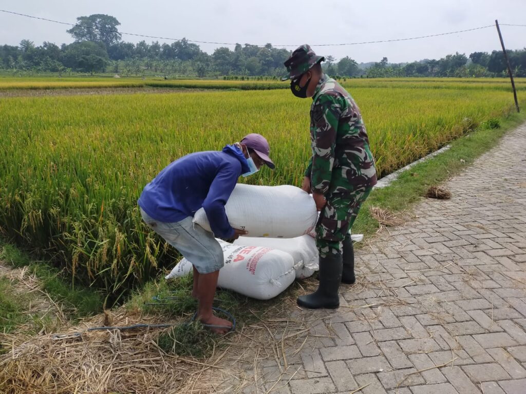 WhatsApp Image 2021-03-24 at 09.25.52