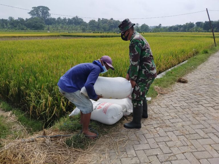 WhatsApp Image 2021-03-24 at 09.25.52