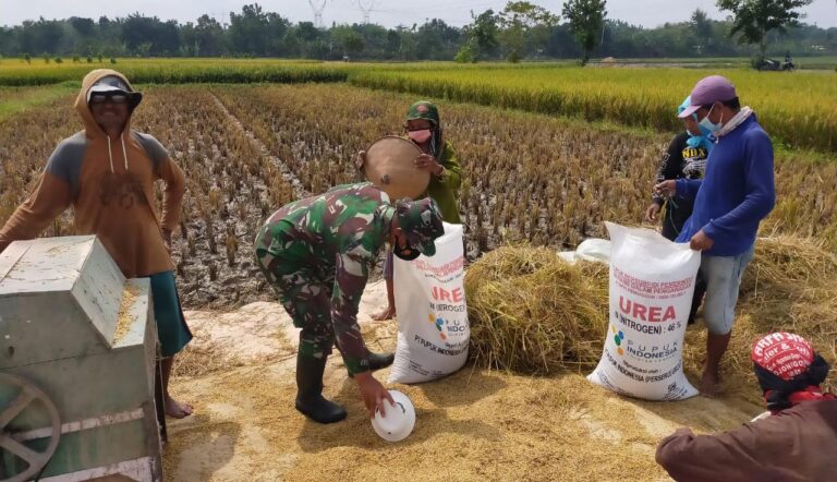 WhatsApp Image 2021-03-24 at 09.26.56