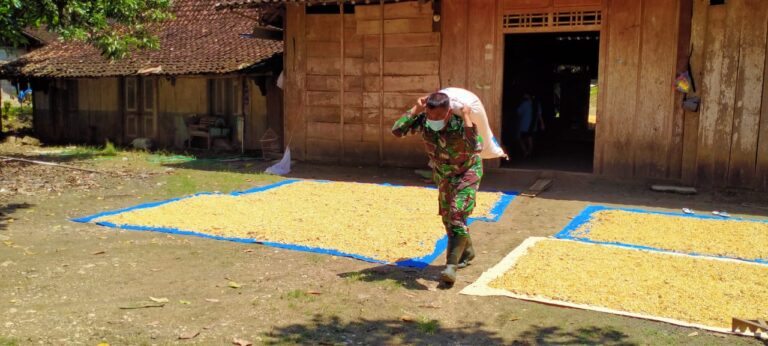 WhatsApp Image 2021-03-24 at 10.03.37