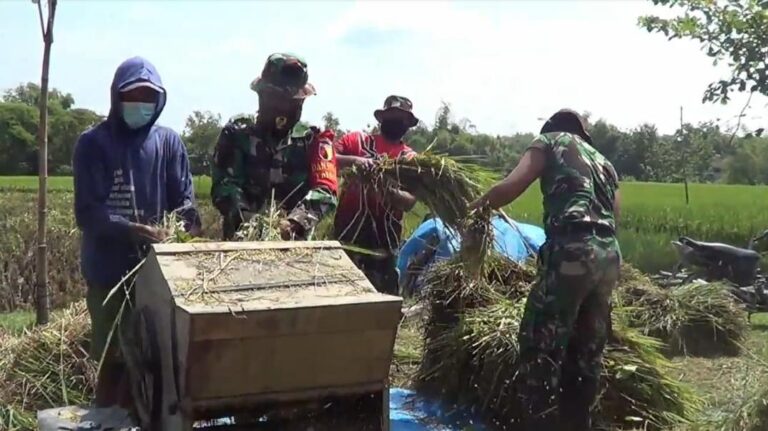 WhatsApp Image 2021-03-24 at 10.08.29