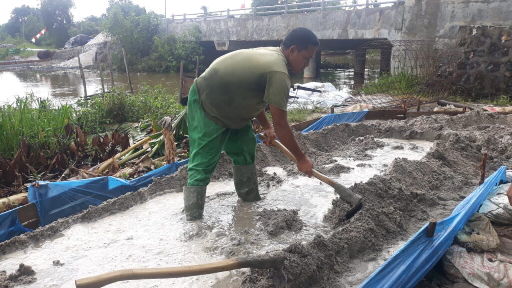 WhatsApp Image 2021-03-24 at 10.28.46