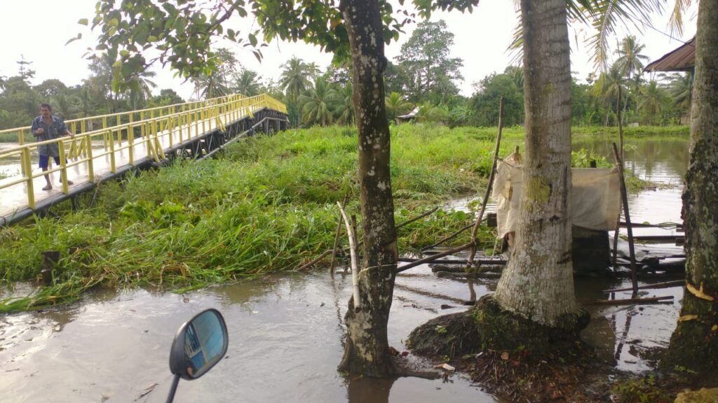 WhatsApp Image 2021-03-24 at 19.57.36