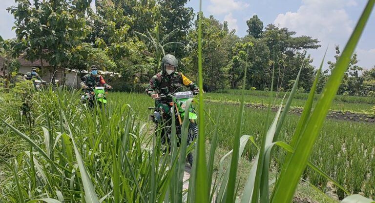 WhatsApp Image 2021-03-25 at 07.56.10