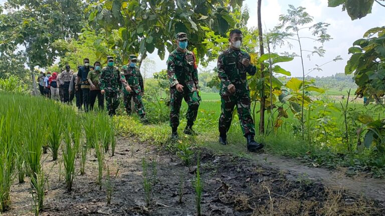 WhatsApp Image 2021-03-25 at 08.04.41