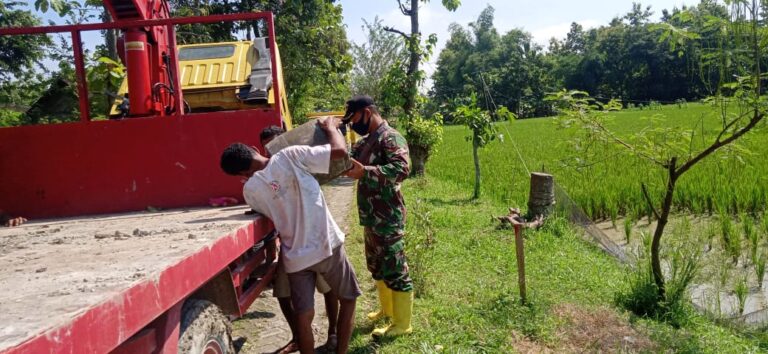 WhatsApp Image 2021-03-25 at 08.13.43