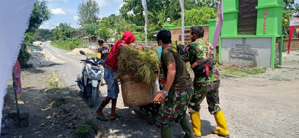 WhatsApp Image 2021-03-25 at 08.20.32