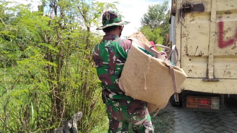 WhatsApp Image 2021-03-25 at 08.36.19