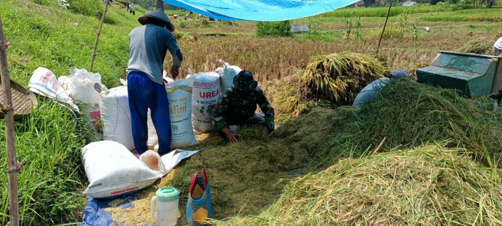 WhatsApp Image 2021-03-25 at 08.37.49