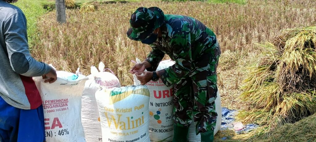 WhatsApp Image 2021-03-25 at 08.38.12