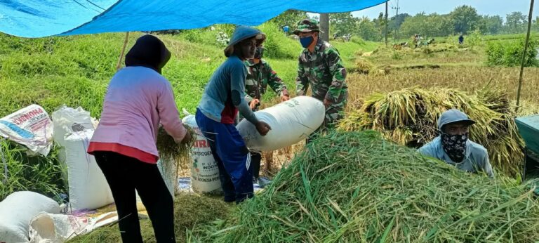 WhatsApp Image 2021-03-25 at 08.38.48