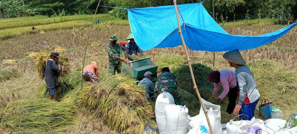 WhatsApp Image 2021-03-25 at 08.39.12